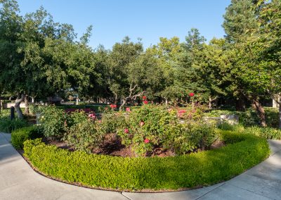 senior living community Pleasanton