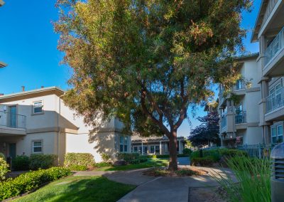 senior living community Pleasanton